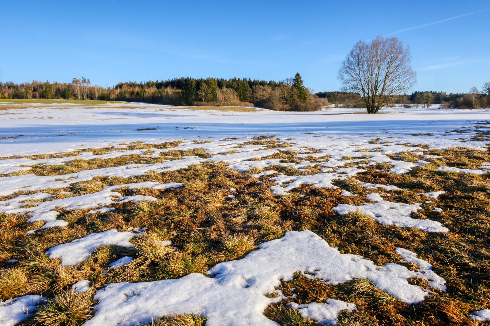 Panasonic Lumix DMC-GX8 sample photo. Winter, nature, landscape photography