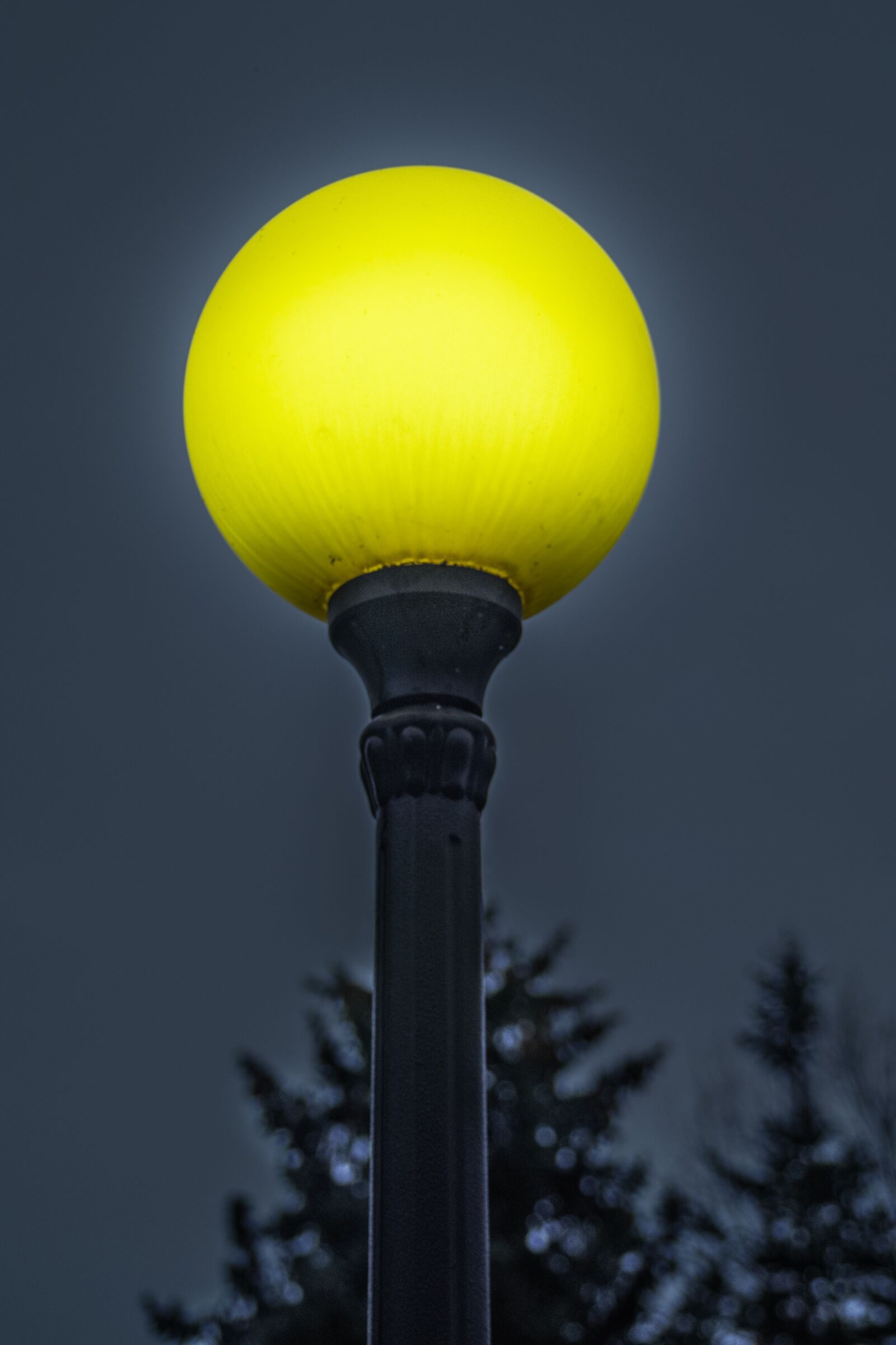 A Series Lens sample photo. Lantern, park, light photography