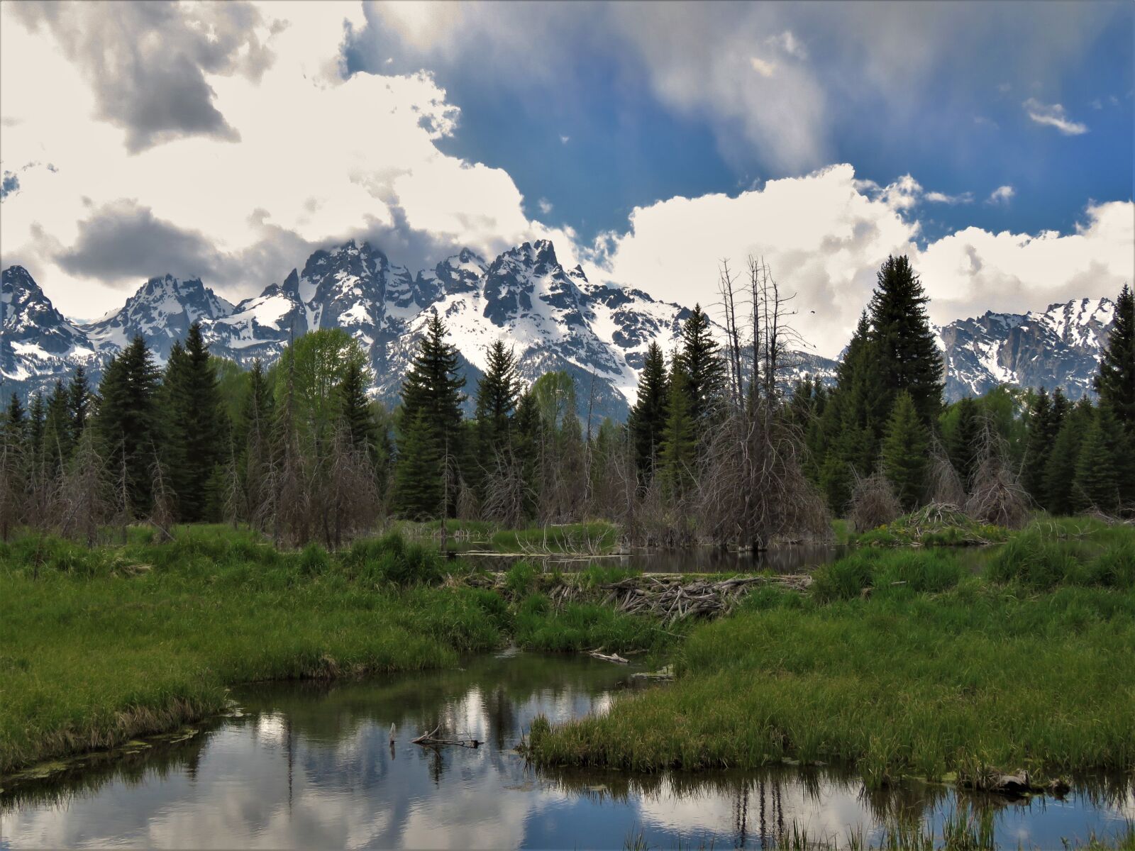 Canon PowerShot SX60 HS sample photo. Wyoming, beaver pond, hiking photography