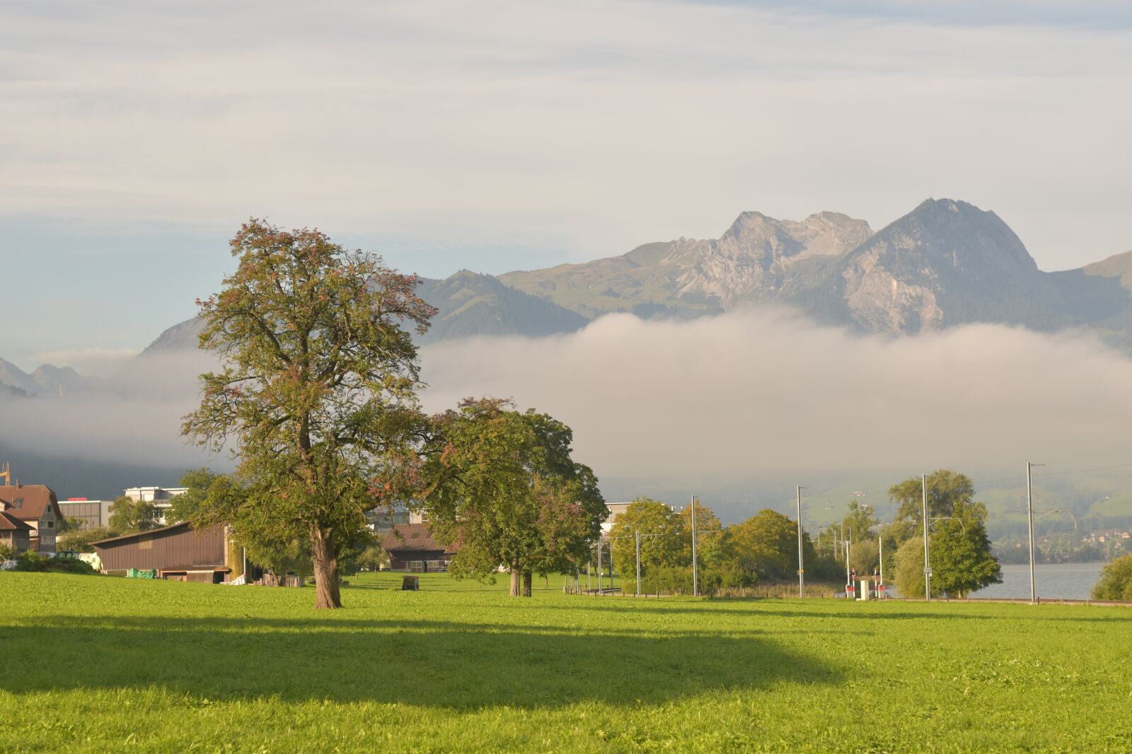Nikon D5600 sample photo. Switzerland, farm, apple tree photography