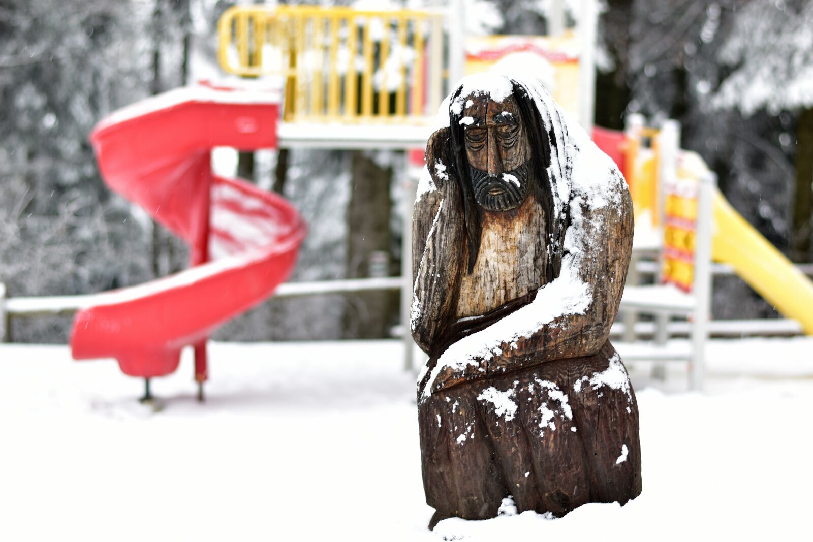 Nikon D3500 sample photo. Snow, man, woodcraft photography