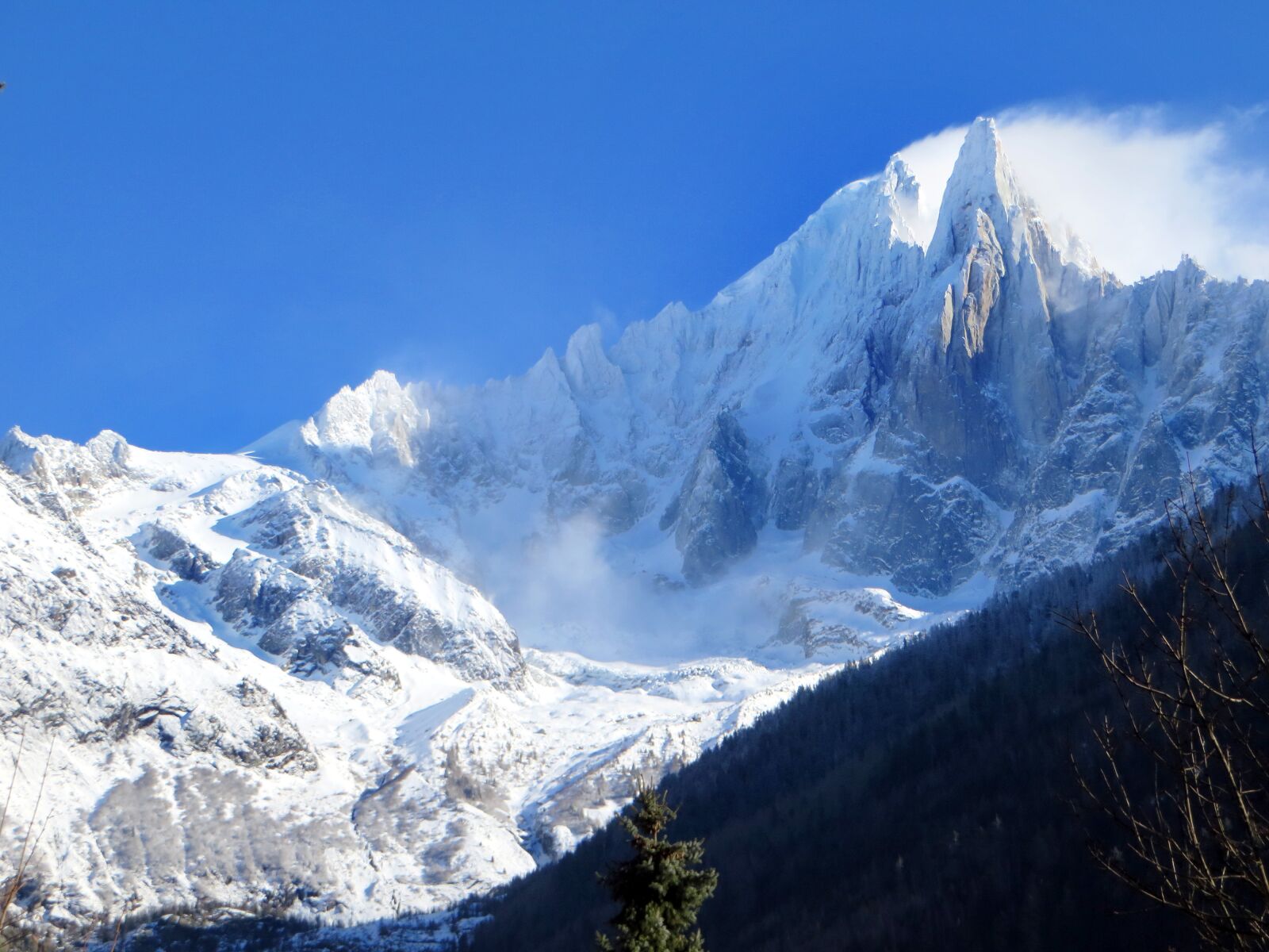 Canon PowerShot SX270 HS sample photo. Thick needles, alps, chamonix photography