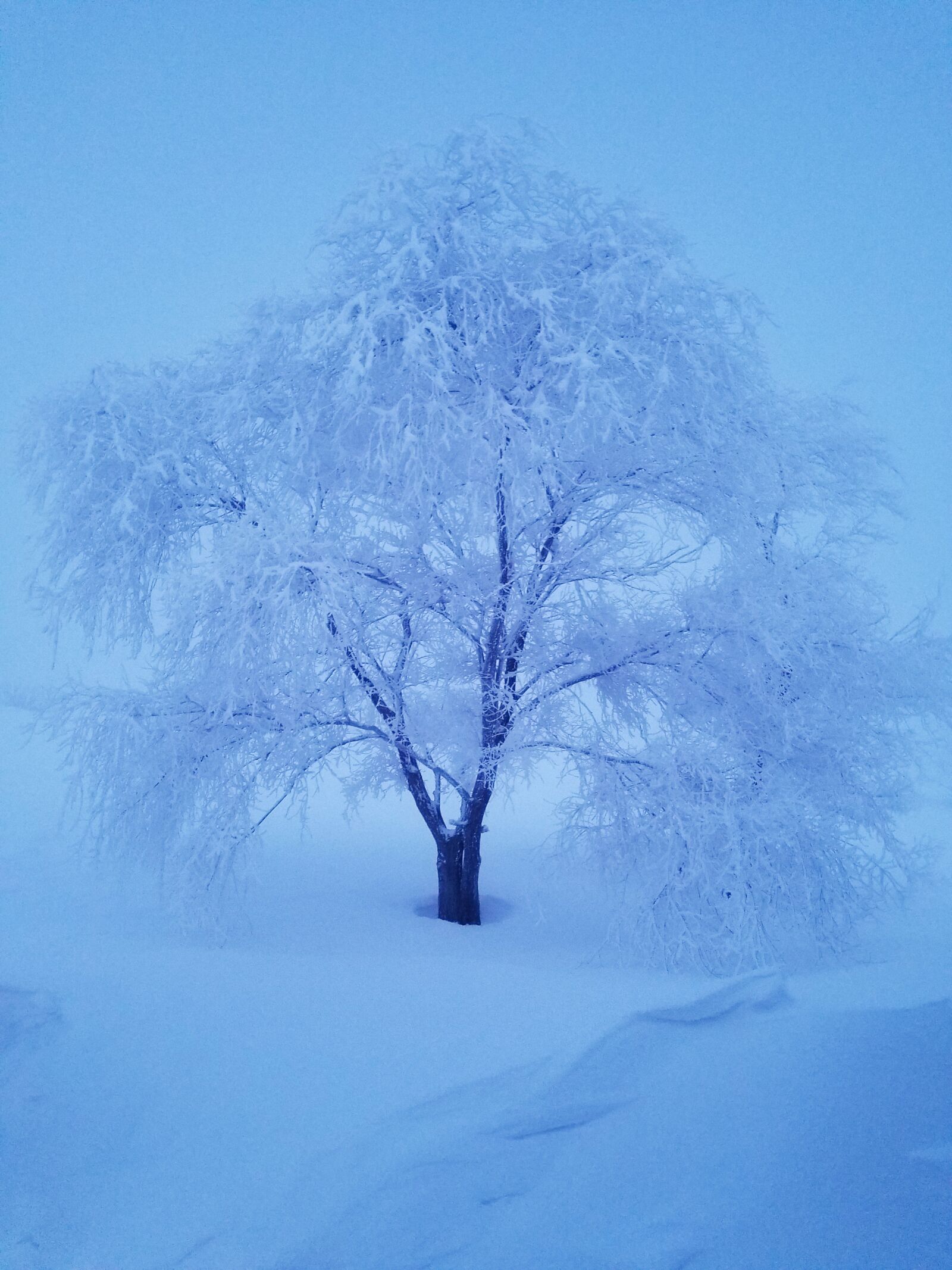 Samsung Galaxy S8 sample photo. Winter, snow, cold photography