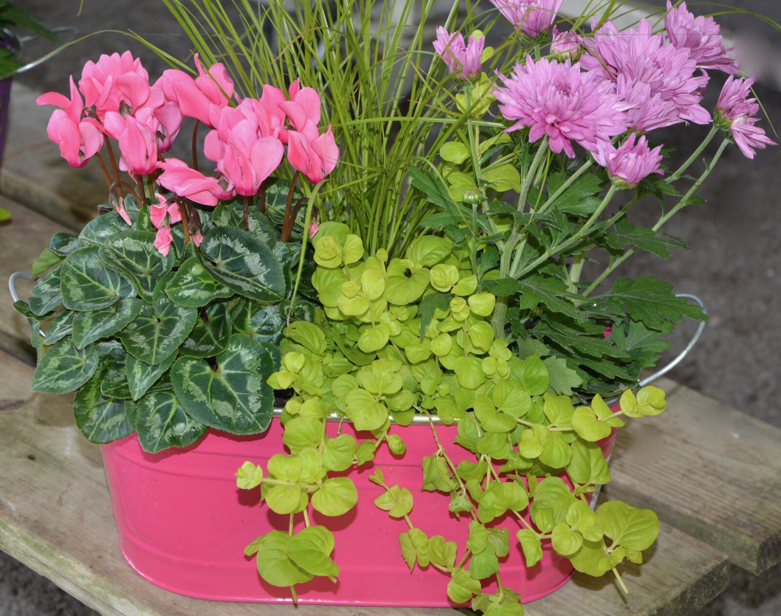 Nikon D5200 sample photo. Flowers, floral composition, decoration photography