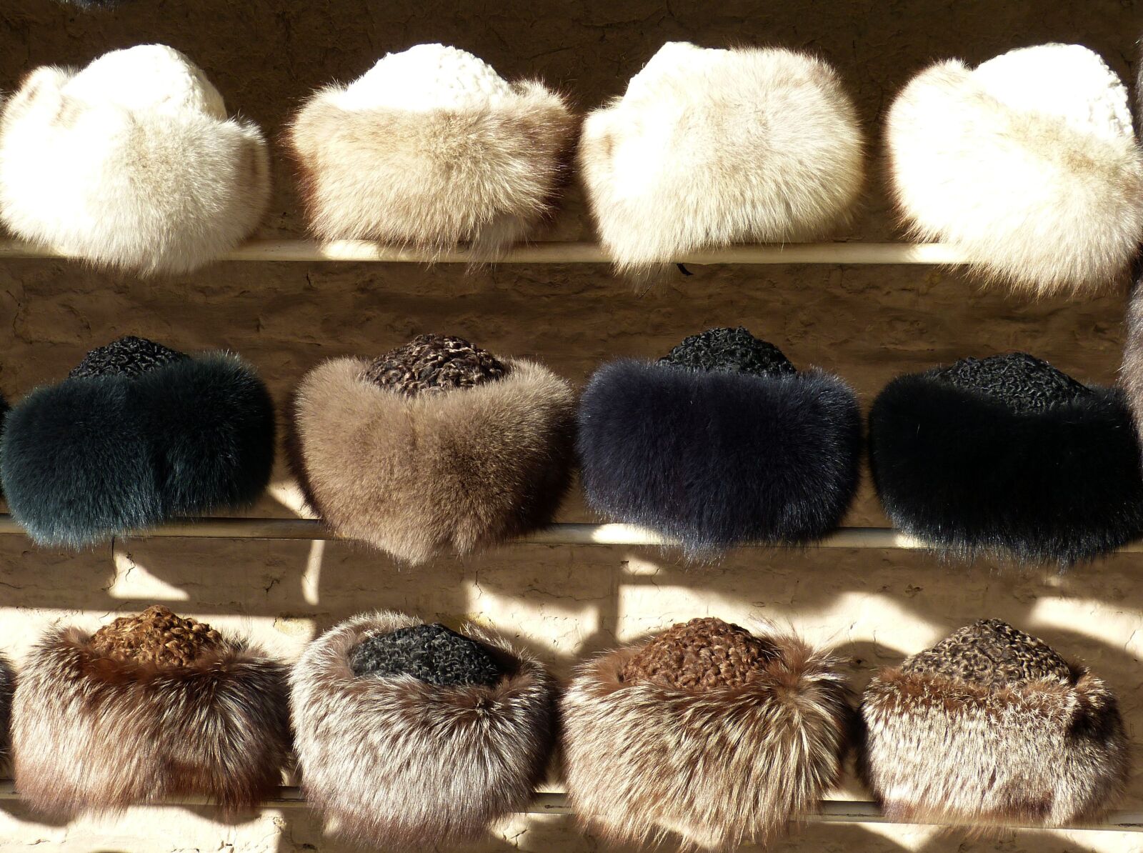 Panasonic Lumix DMC-FZ150 sample photo. Cap, fur, cold photography