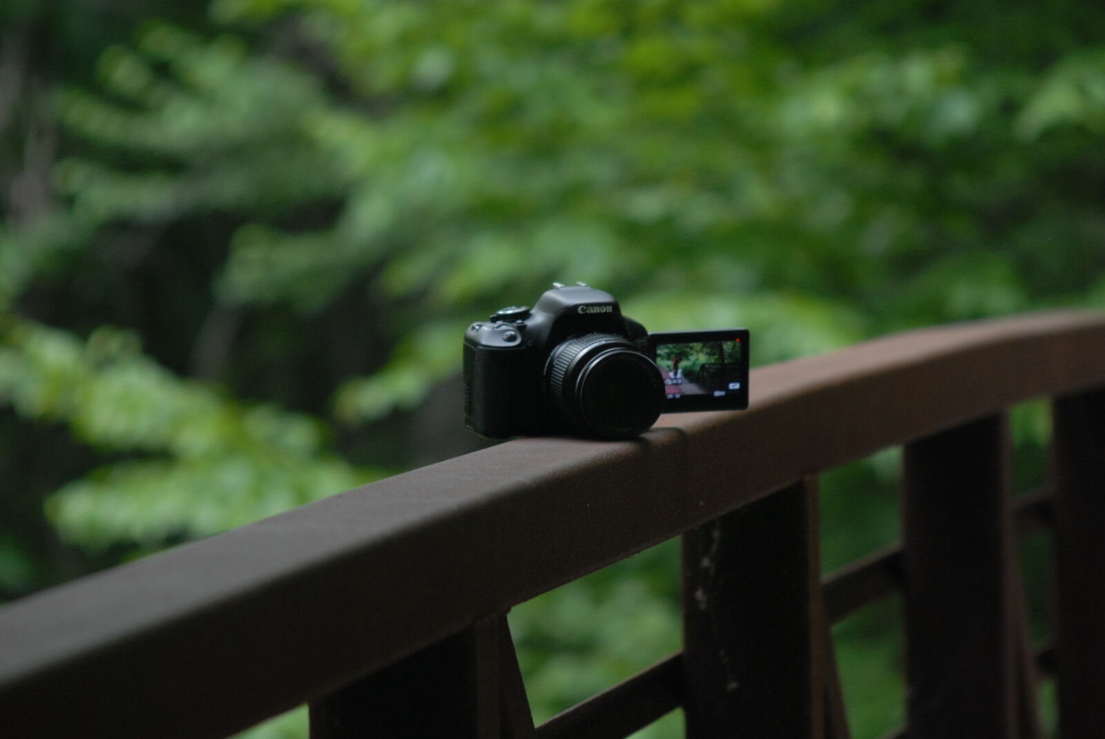 AF Zoom-Nikkor 35-135mm f/3.5-4.5 sample photo. Blurred, bridge, camera, canon photography