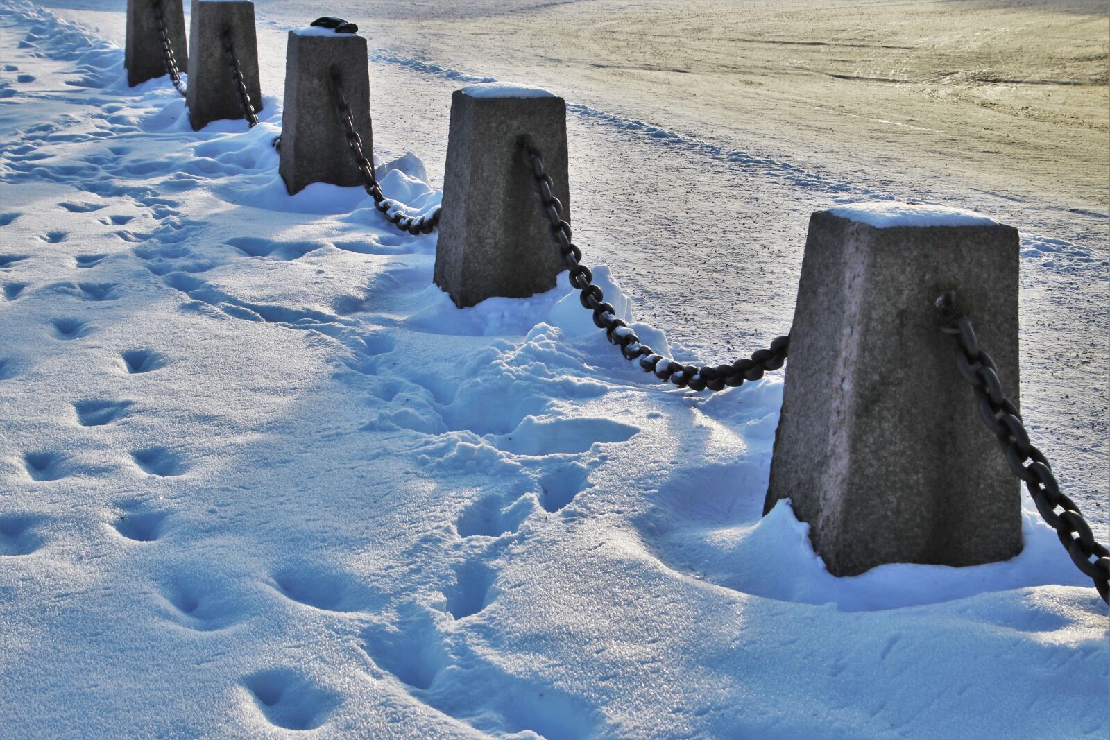 Canon EOS 80D sample photo. Winter, railings, snow photography