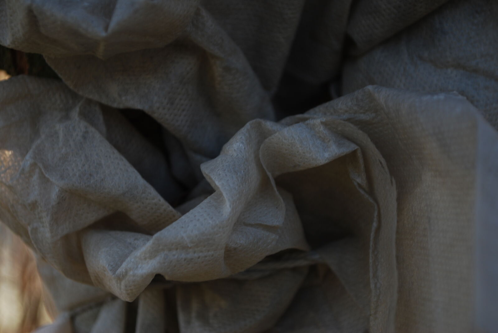 Nikon D60 sample photo. Dark, fabric, folded, garden photography