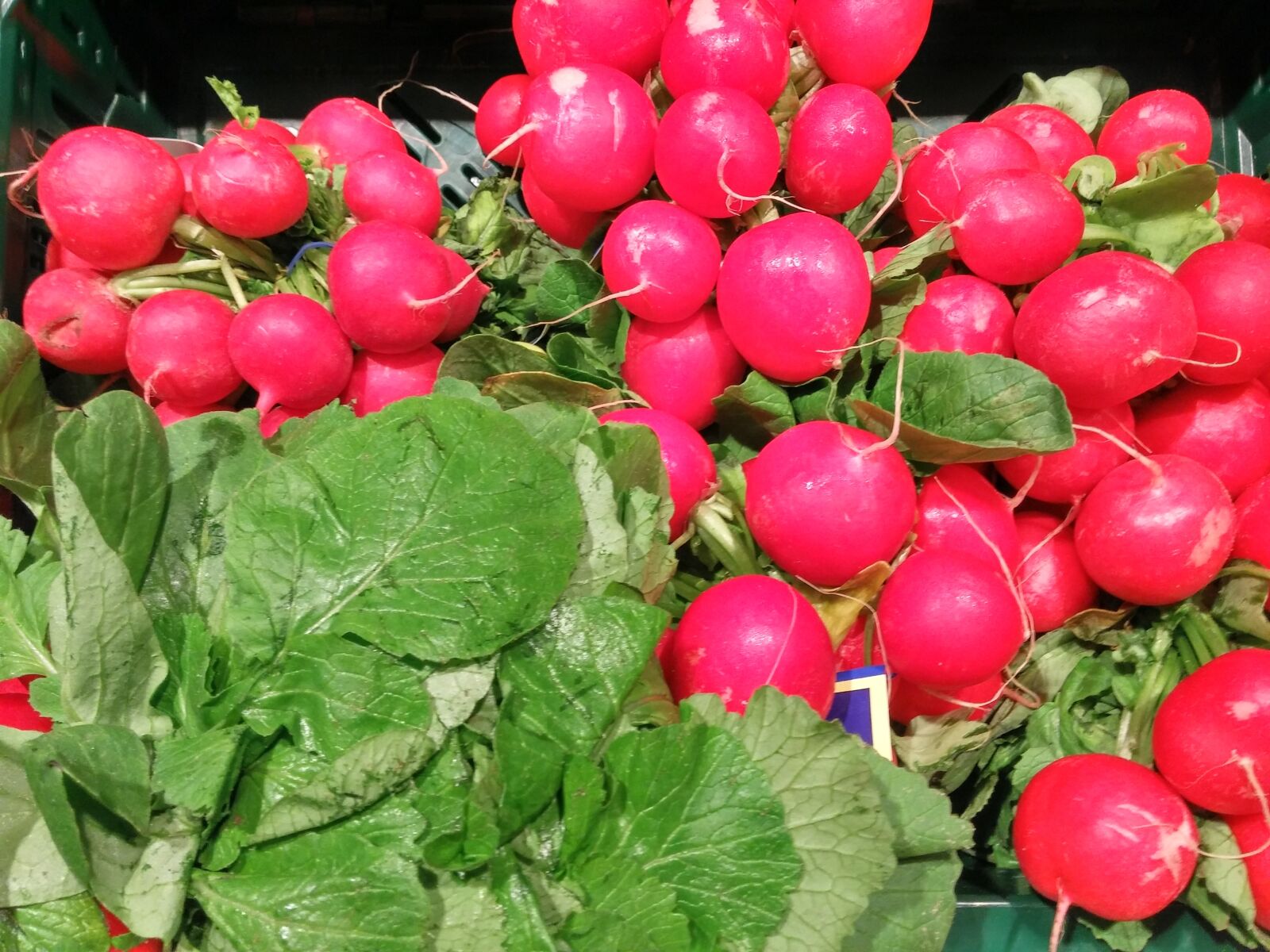 LG D855 sample photo. Radishes, vegetables, vegetable market photography
