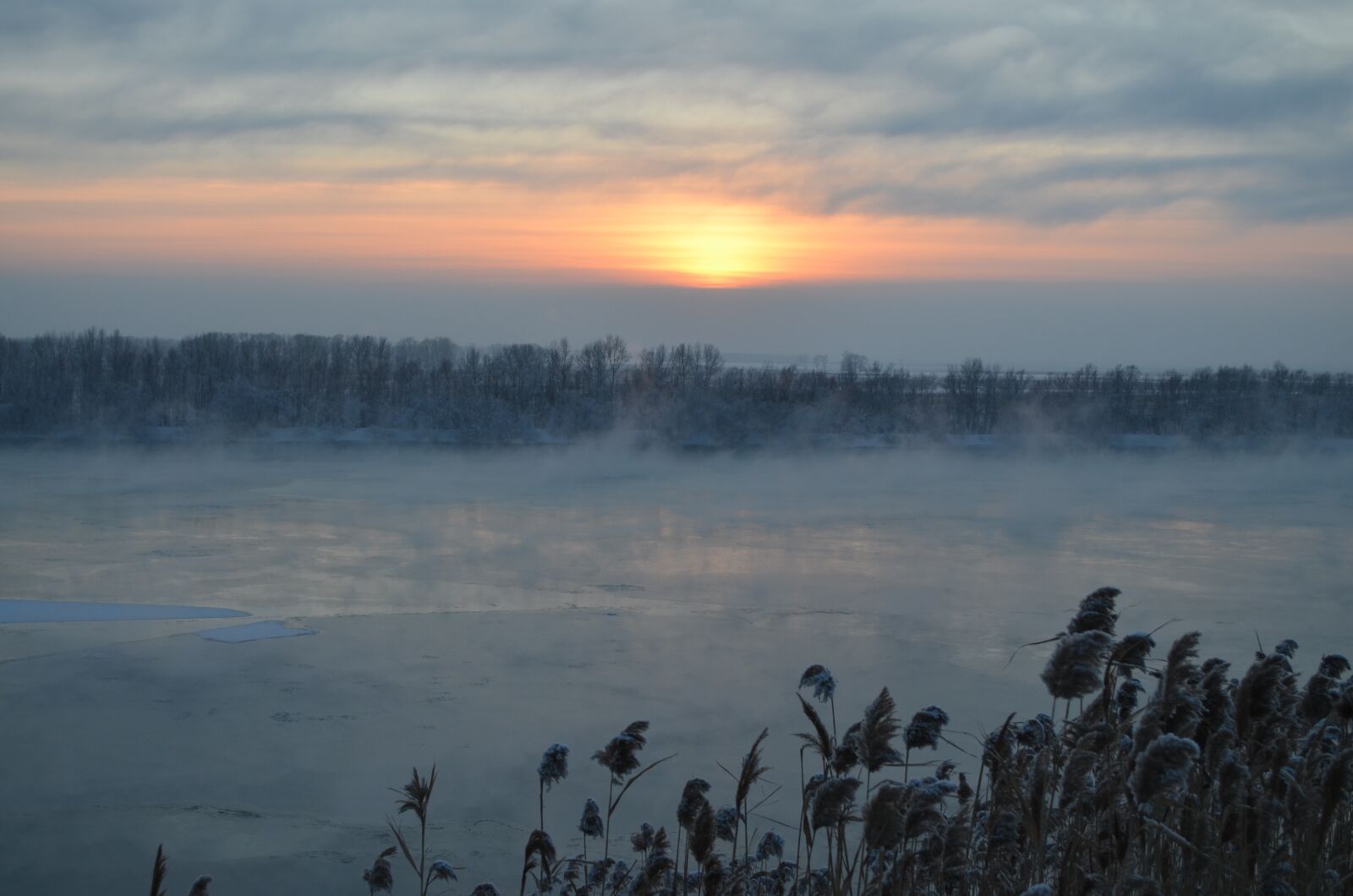 Nikon D5100 sample photo. Winter, blue, nature photography