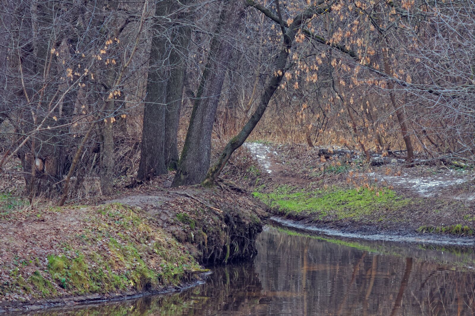 Canon EOS 500D (EOS Rebel T1i / EOS Kiss X3) sample photo. Autumn, river, beach photography