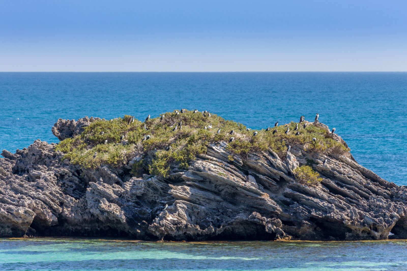 Canon EOS 700D (EOS Rebel T5i / EOS Kiss X7i) sample photo. Bay, rottnest island, rottnest photography