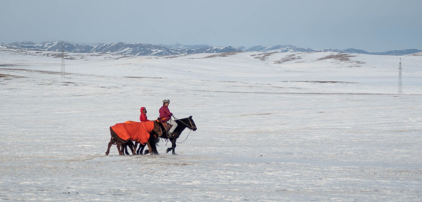 Nikon D90 sample photo. Horse, winter, snow photography