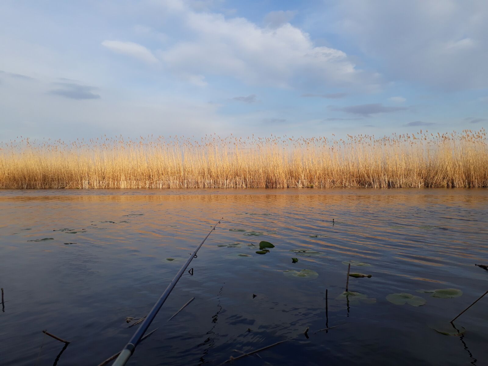 Samsung Galaxy A3(2017) sample photo. Nature, rod, fishing photography