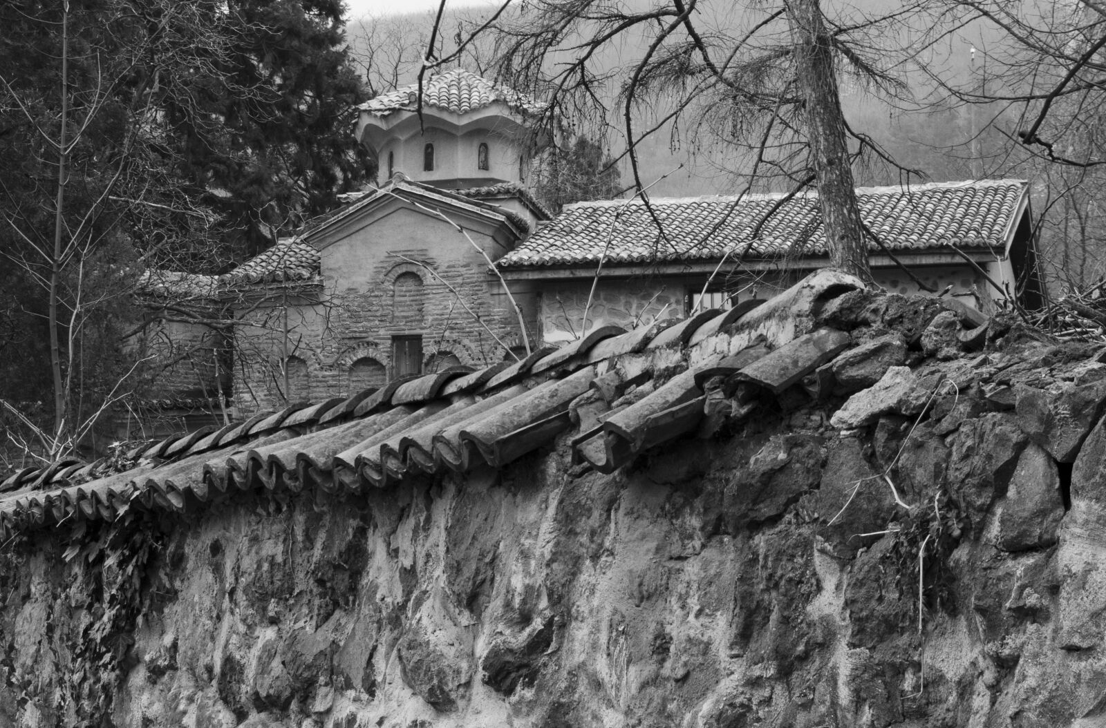 Nikon D5100 sample photo. Rock wall, clay tiles photography