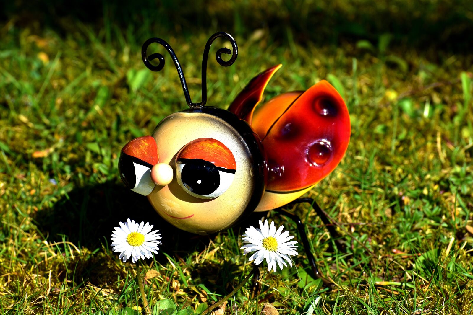 Nikon D7200 sample photo. Ladybug, sheet, colorful photography