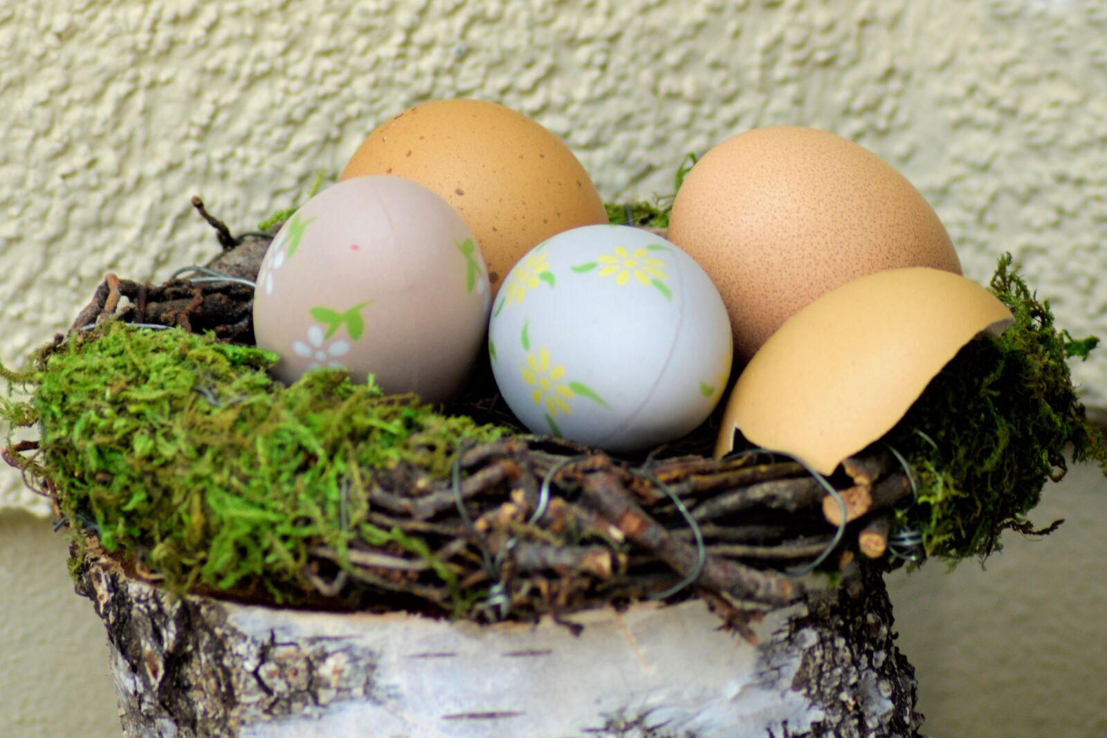 Nikon D3200 sample photo. Egg, food, easter photography