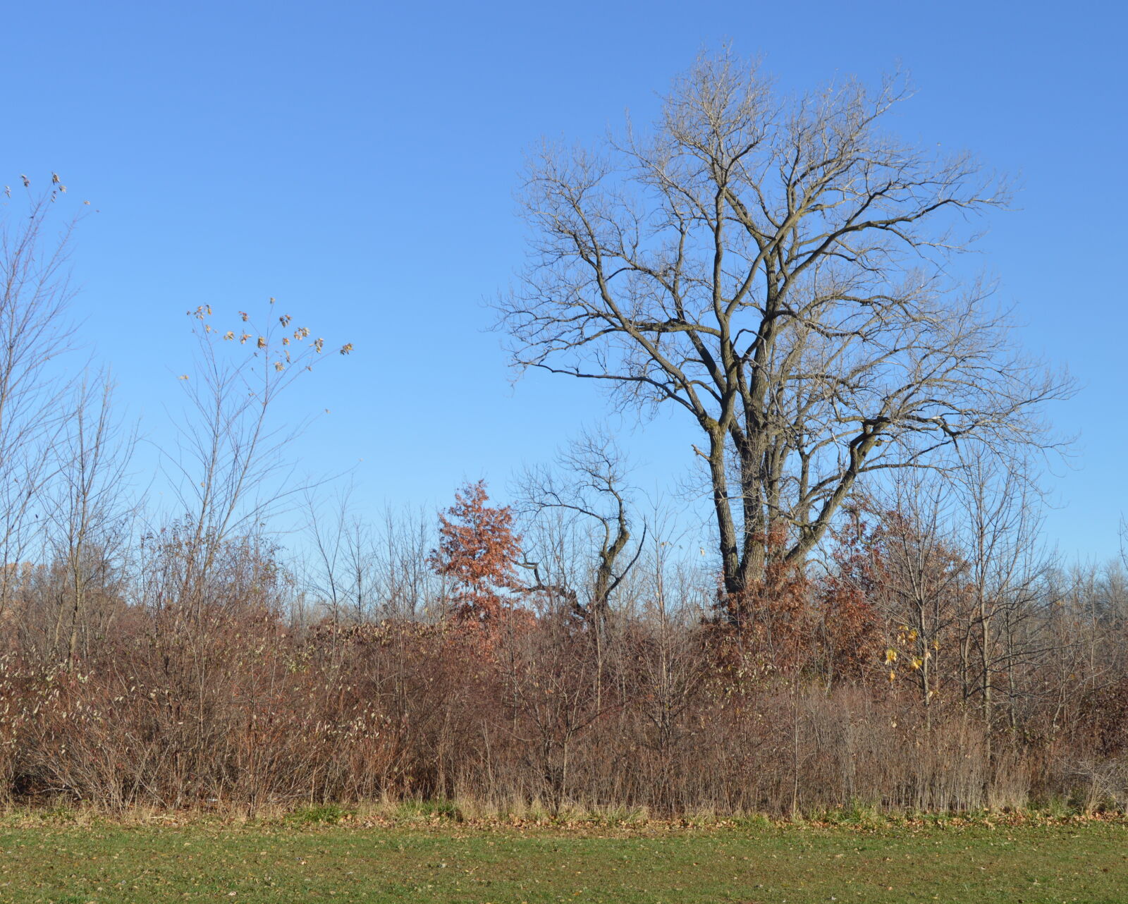 Nikon D3200 sample photo