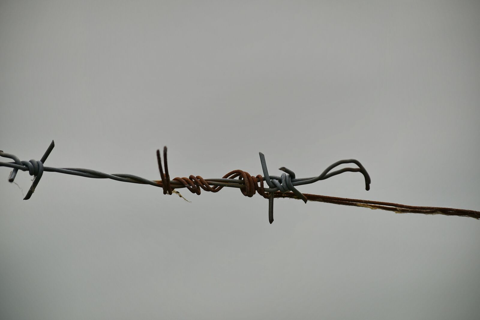 Nikon D5500 sample photo. Metal, rust, security, barbed photography