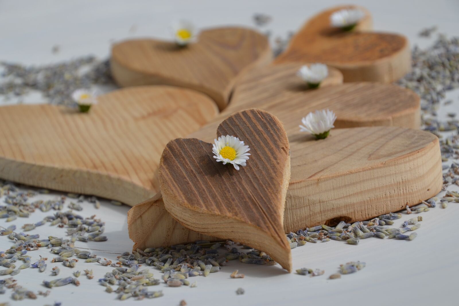 Nikon D3100 sample photo. Love, mother's day, heart photography