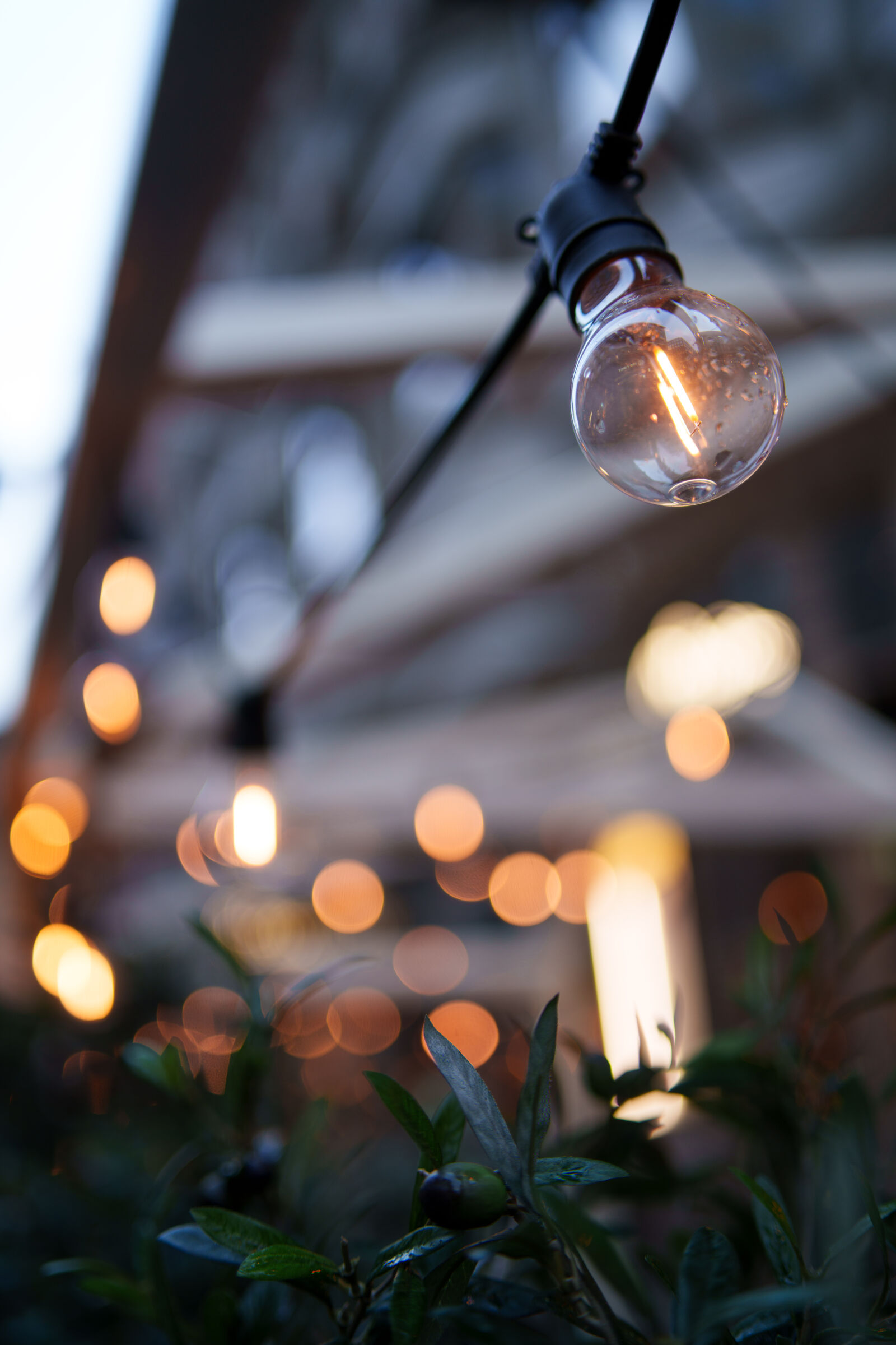Samyang AF 35mm F1.4 P sample photo. Light bokeh photography
