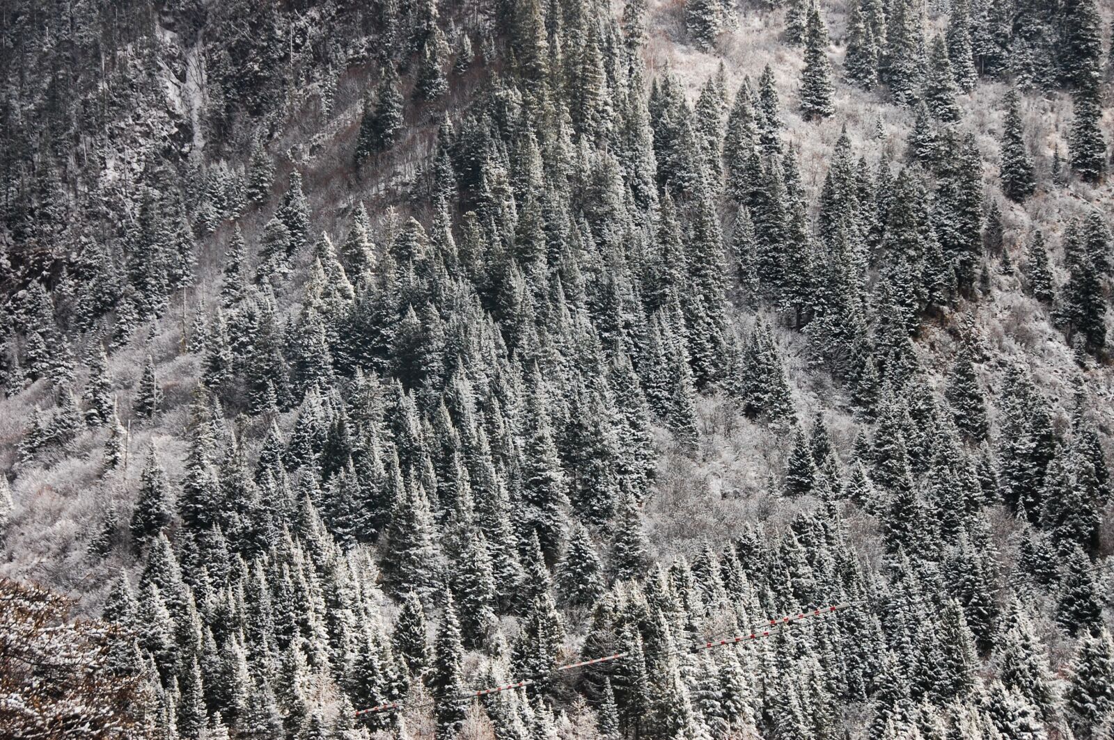 Nikon D40 sample photo. Winter, heavy snow, road photography