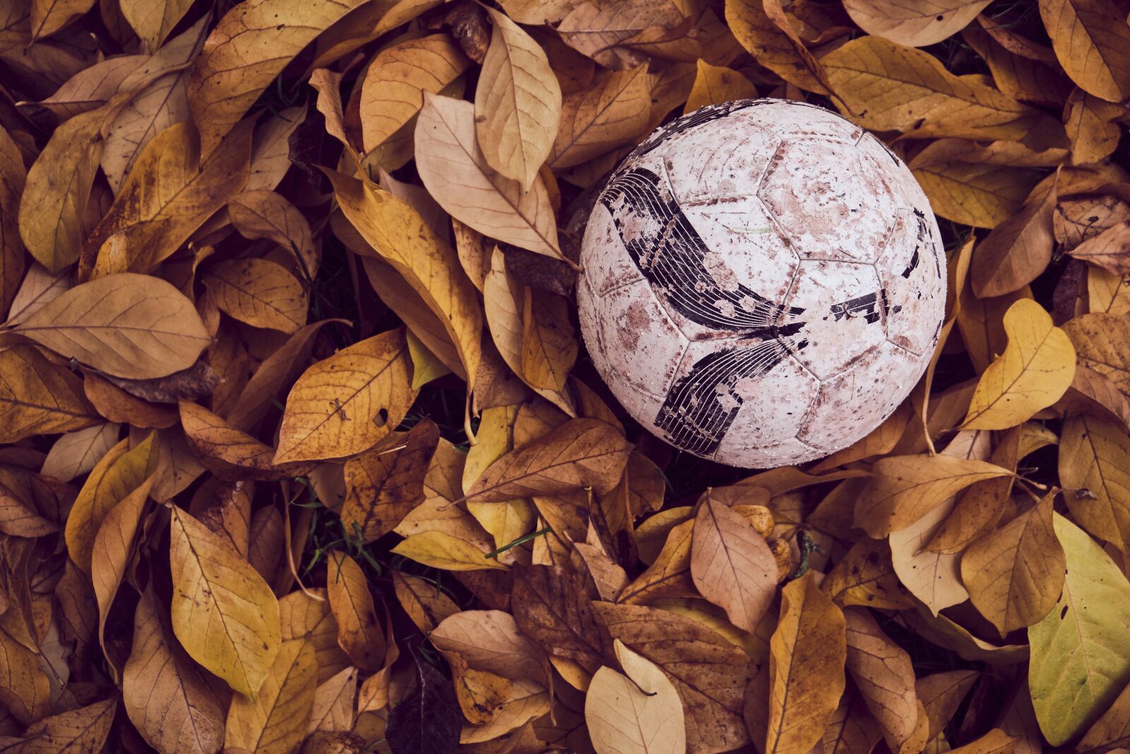 Fujifilm XF 18-55mm F2.8-4 R LM OIS sample photo. Football, from above, autumn photography