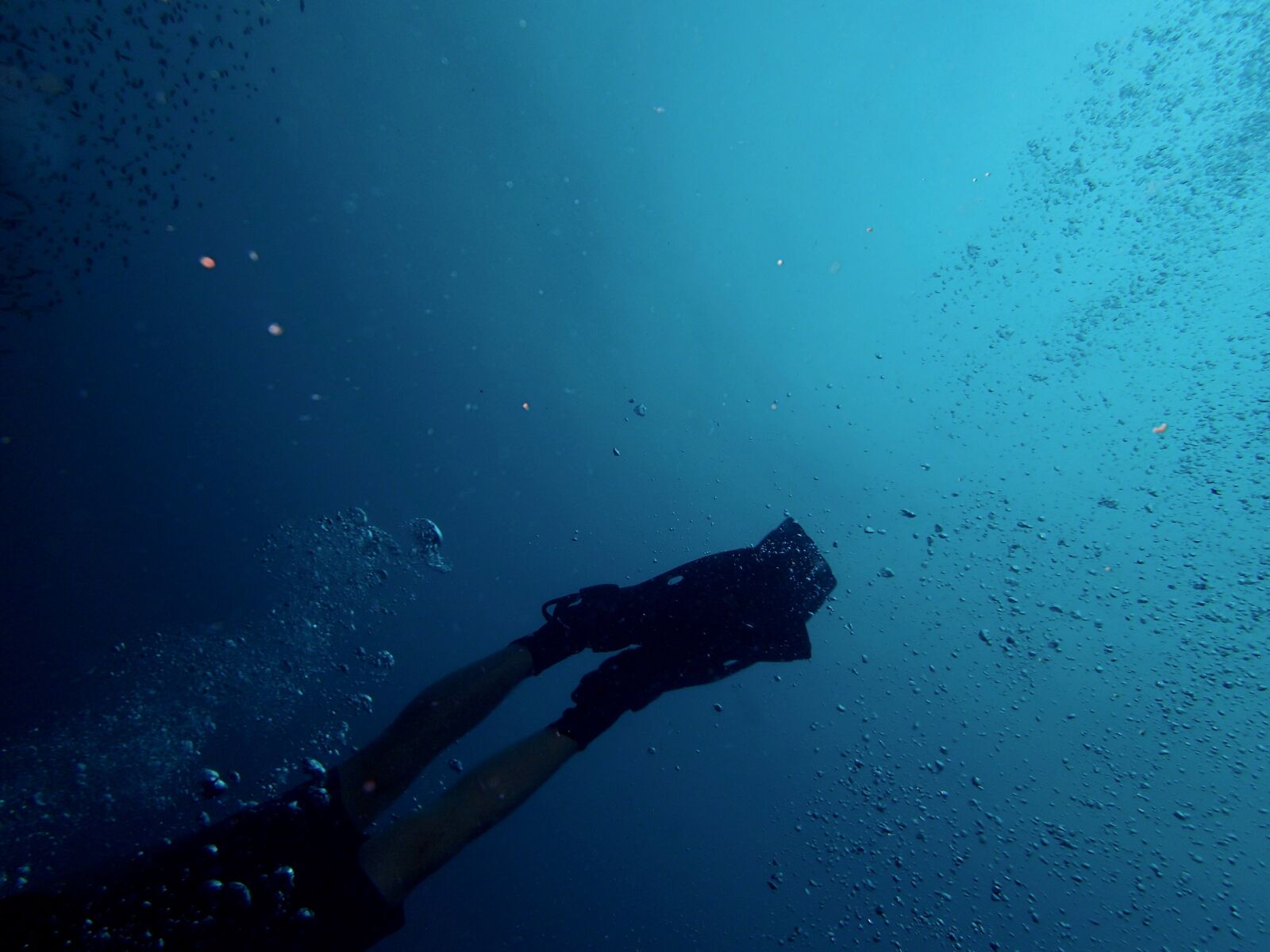 Olympus TG-4 sample photo. Diver, diving, fins photography