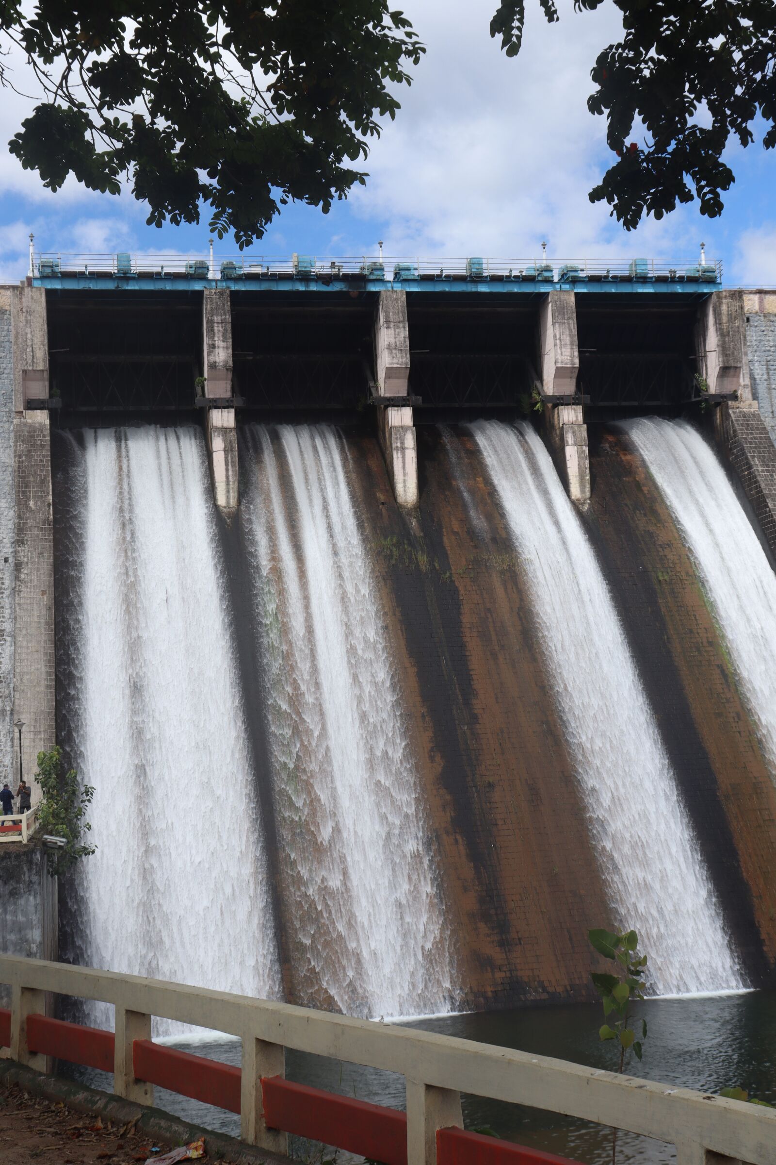 Canon EOS 250D (EOS Rebel SL3 / EOS Kiss X10 / EOS 200D II) sample photo. Water, dam, kerala photography