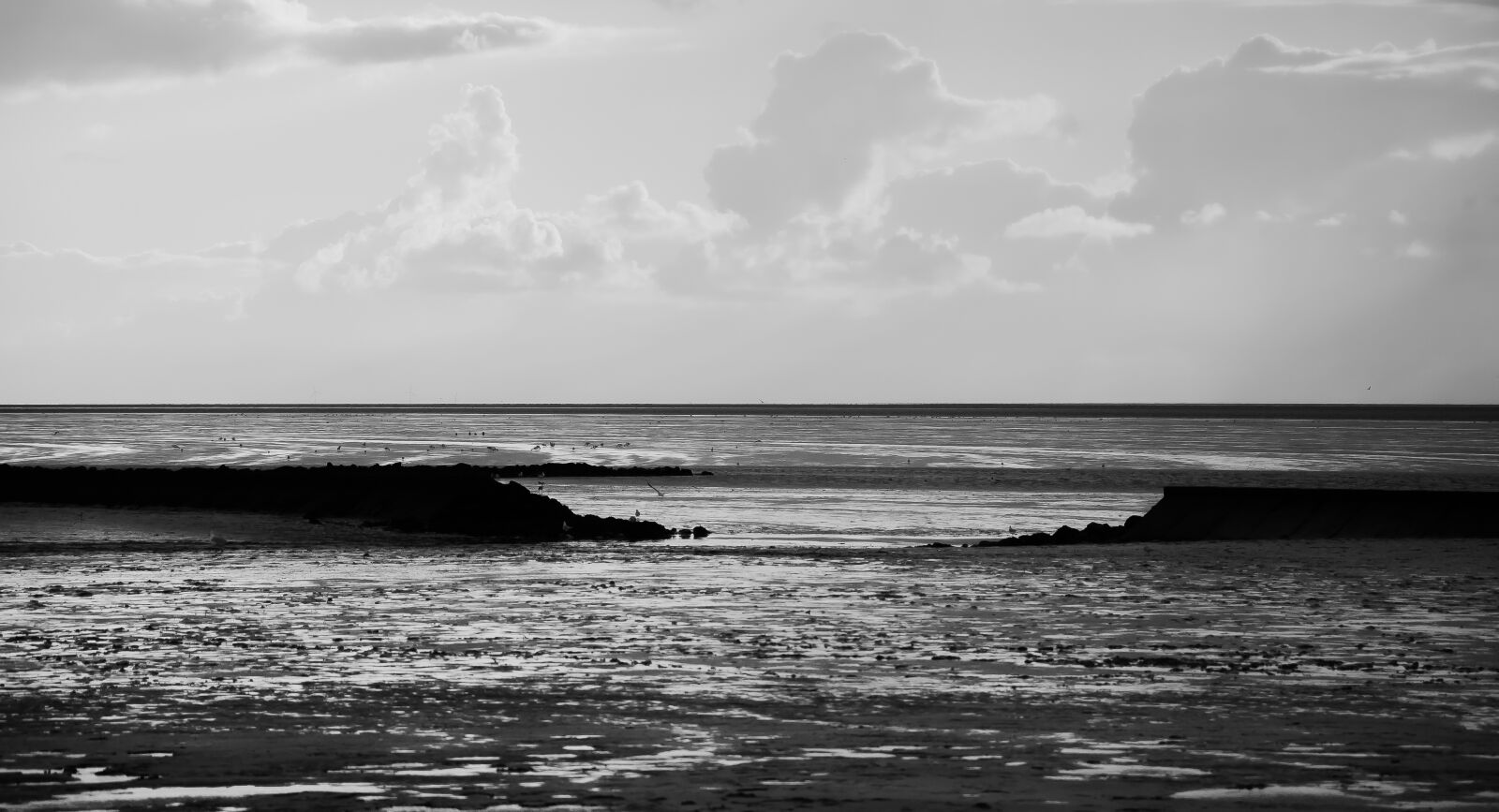 Nikon D5100 sample photo. North sea, landscape, sea photography