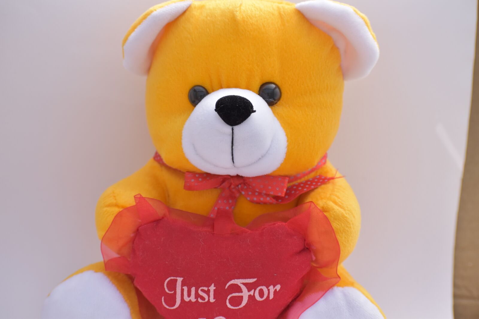 Nikon D5600 sample photo. Teddy bear, gift, teddy photography