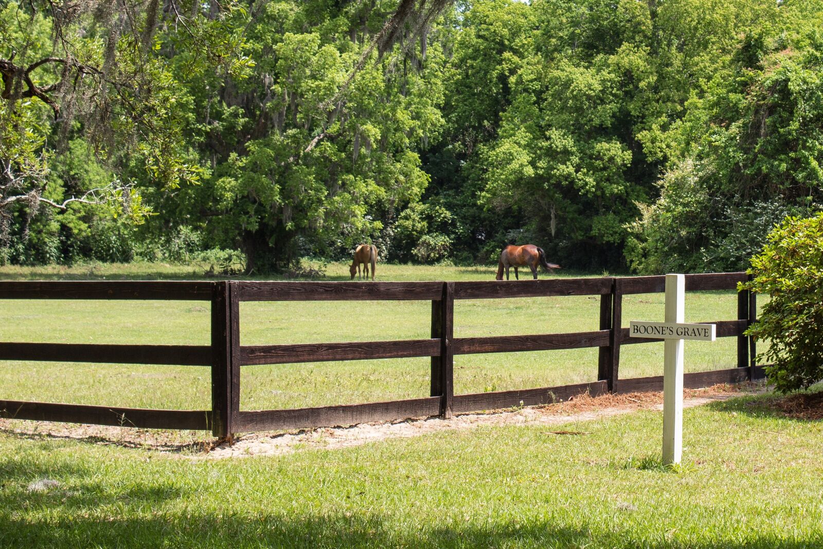 Canon EOS 600D (Rebel EOS T3i / EOS Kiss X5) sample photo. Grave maker, cross, horse photography