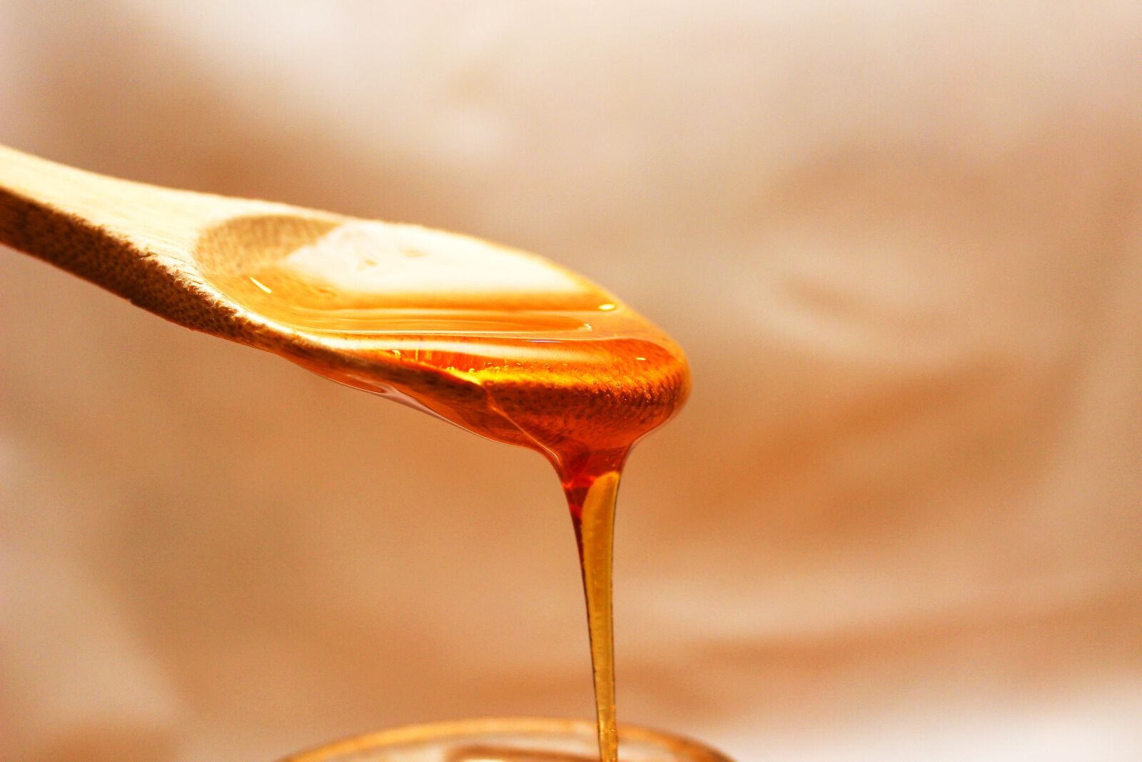 Canon EOS 600D (Rebel EOS T3i / EOS Kiss X5) sample photo. Honey, flowing, spoon photography