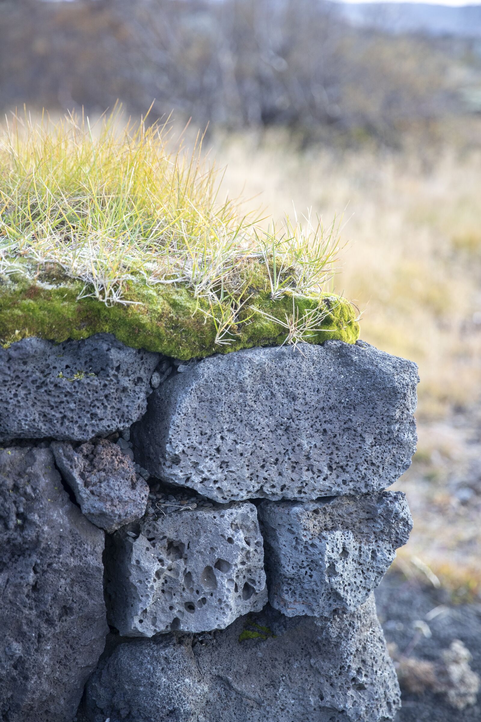 Canon EOS-1D X Mark II sample photo. Brick, brickwall, old photography