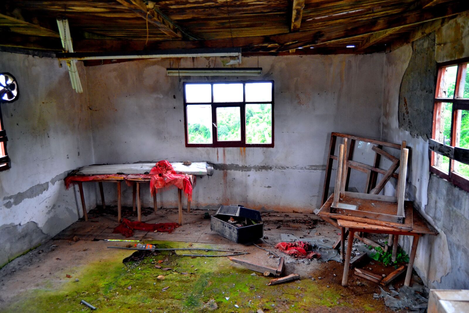 Nikon D3100 sample photo. Room, old, inner photography