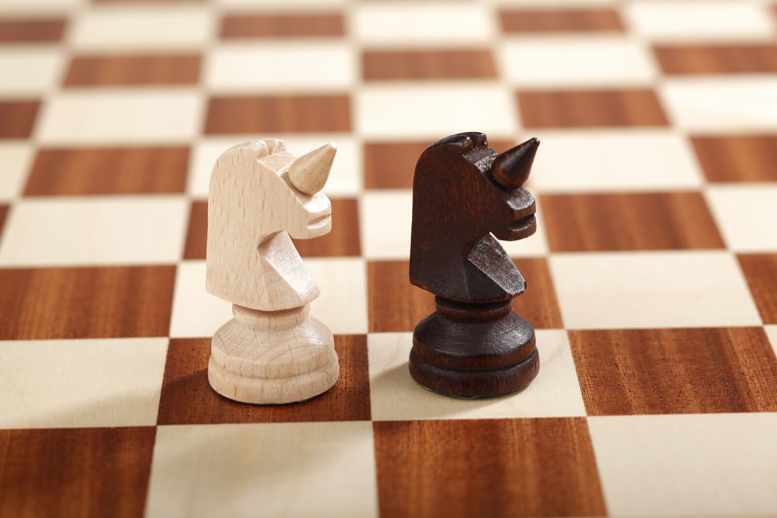 Canon EOS 5D Mark II sample photo. Unicorn, chess, large chess photography