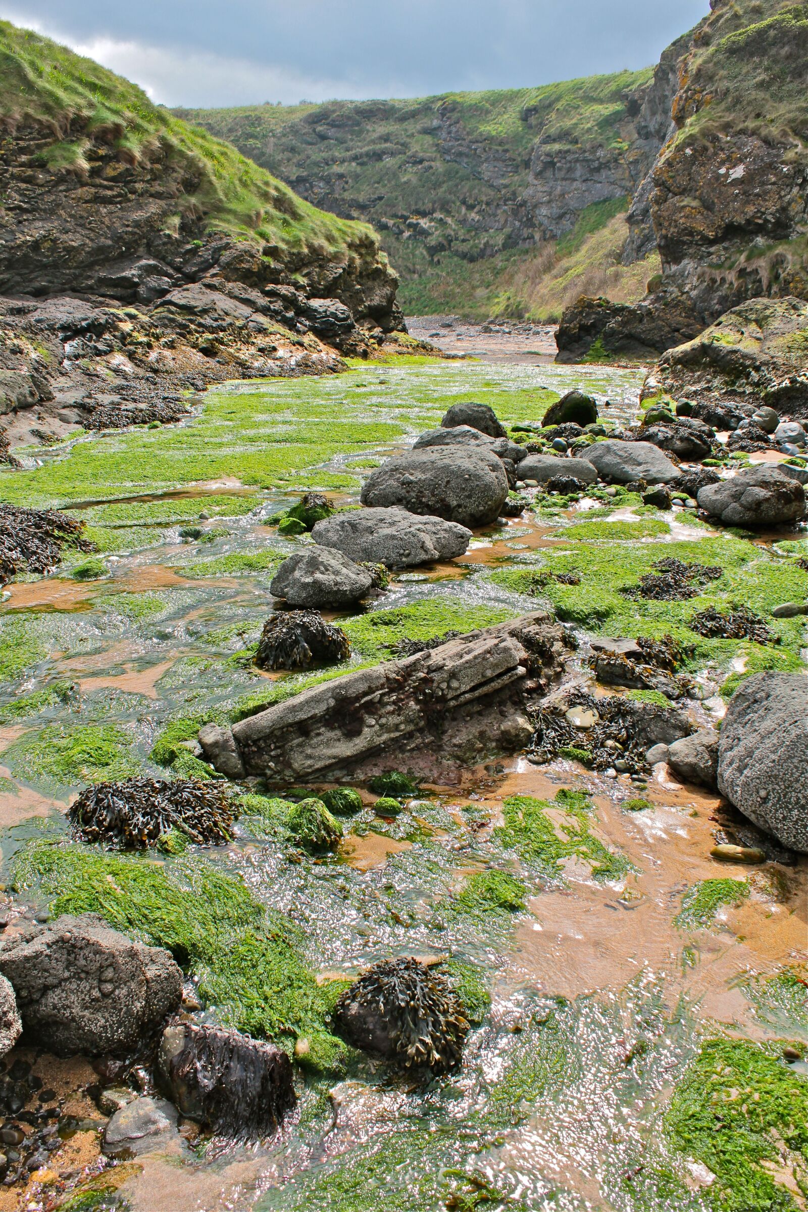 Canon EOS 600D (Rebel EOS T3i / EOS Kiss X5) sample photo. Scotland, edinburgh, places of photography