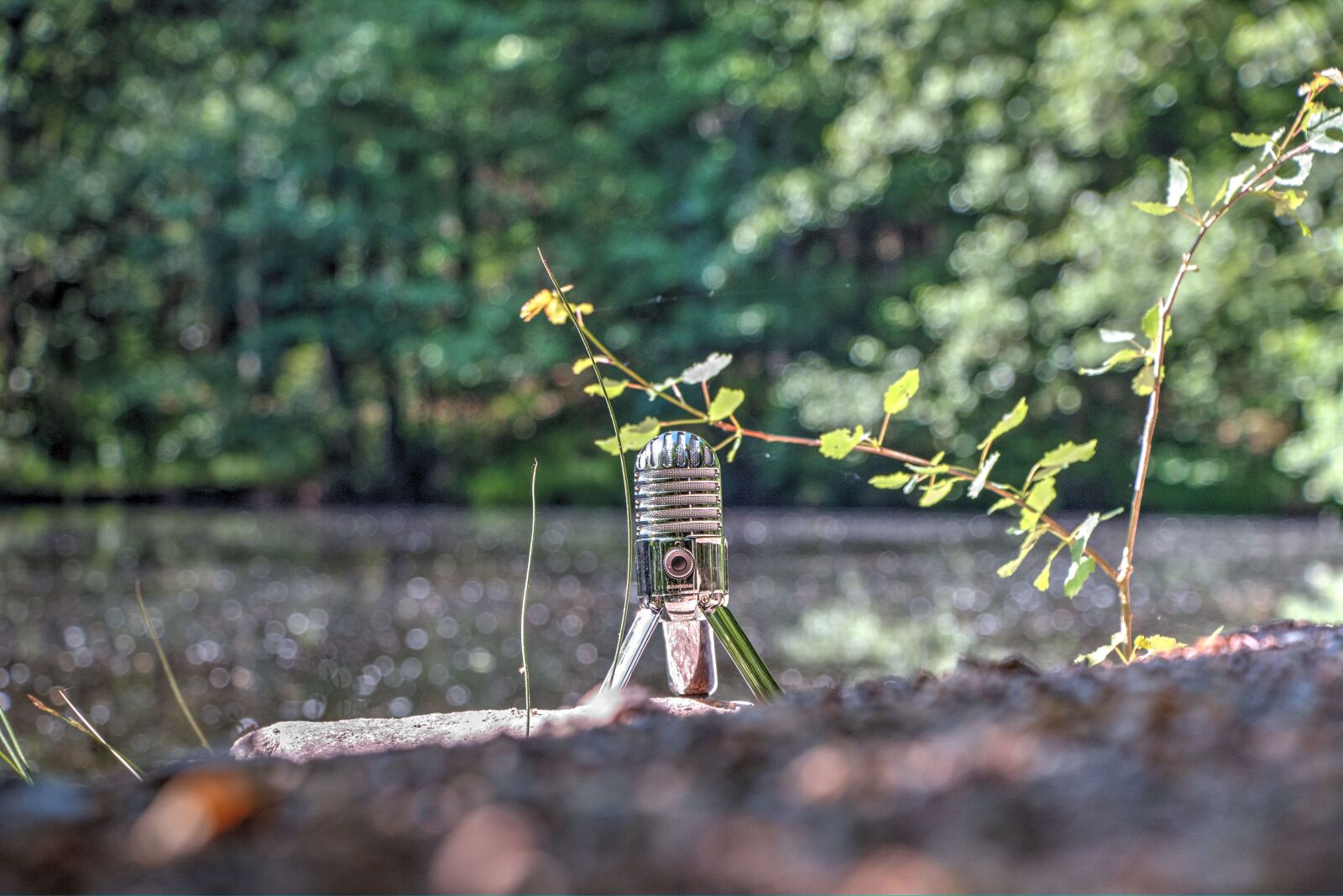 Canon EOS 70D sample photo. Microphone, sound, recording photography