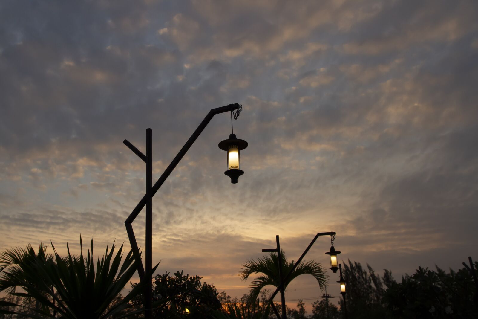 Canon EOS 7D sample photo. Silhouette, evening, lamp photography