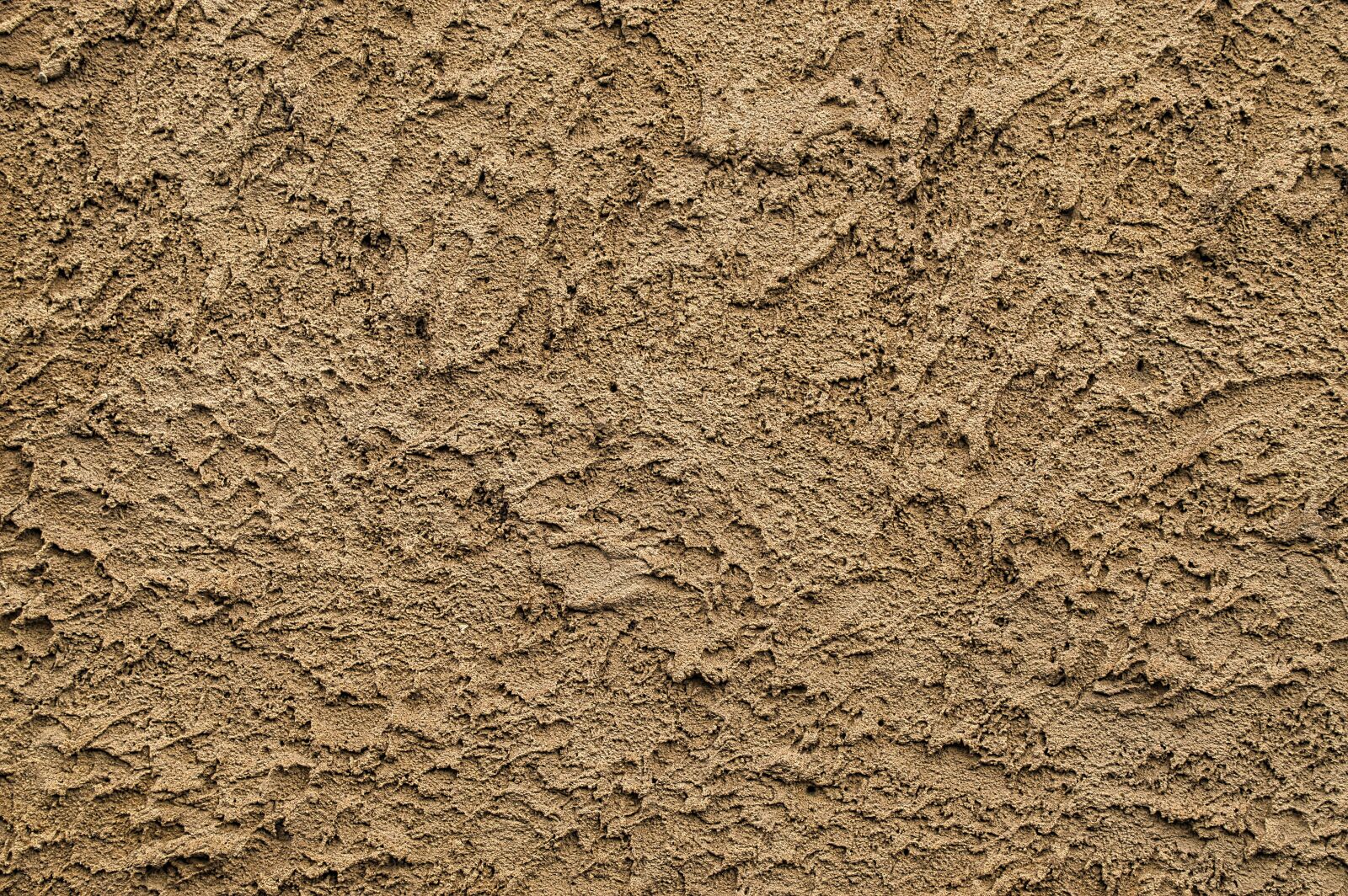 Nikon D3200 sample photo. Texture, facade, wall photography