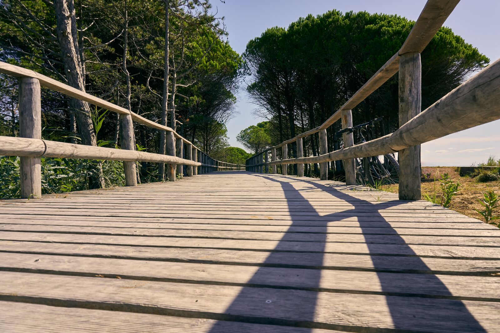 Sony a6400 sample photo. Wooden track, plank, railing photography