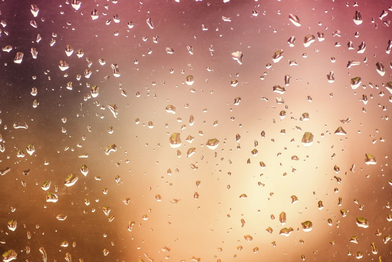 Nikon D750 sample photo. Drops, glass, water photography