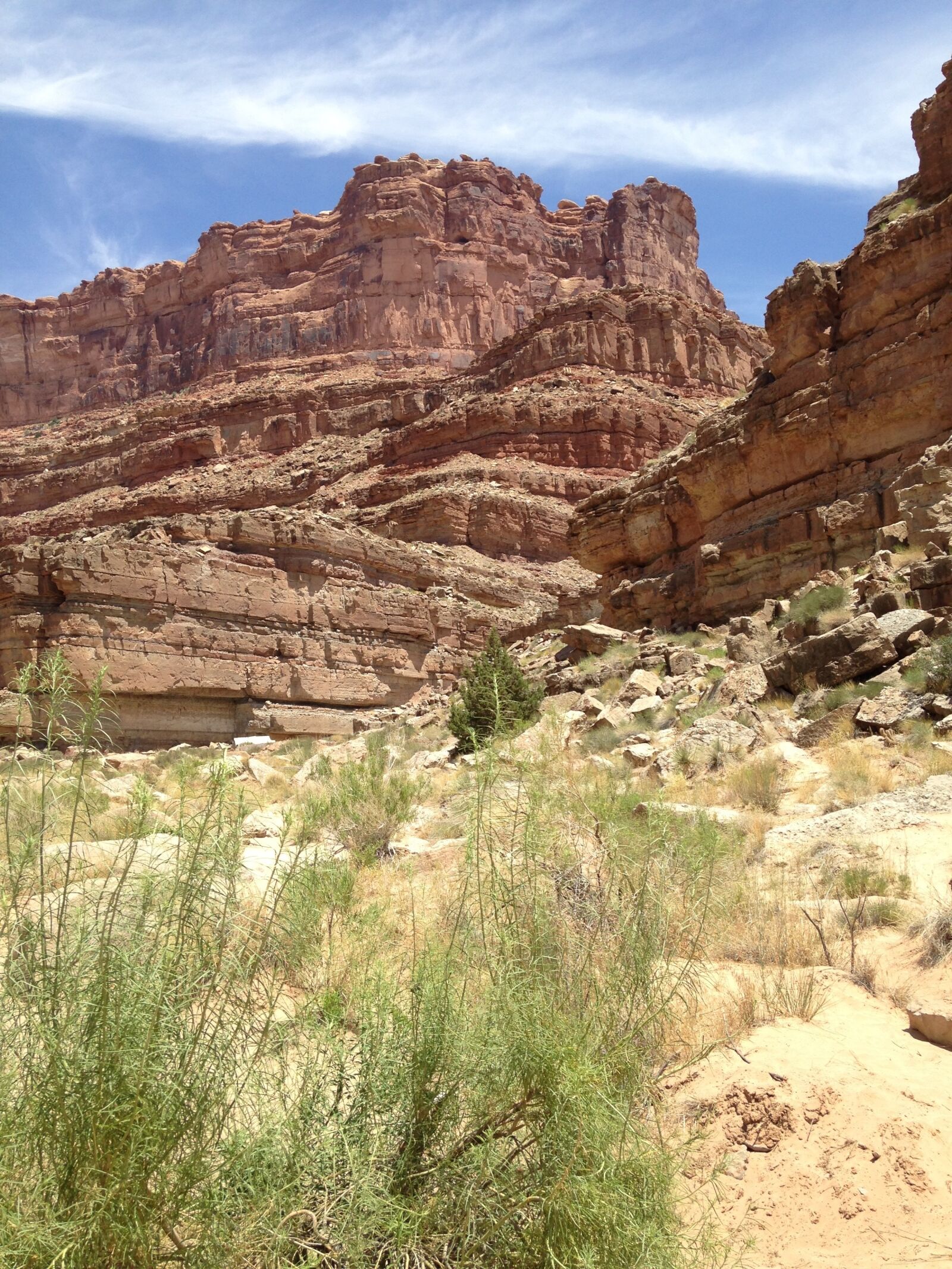iPhone 5c back camera 4.12mm f/2.4 sample photo. Utah, desert, landscape photography