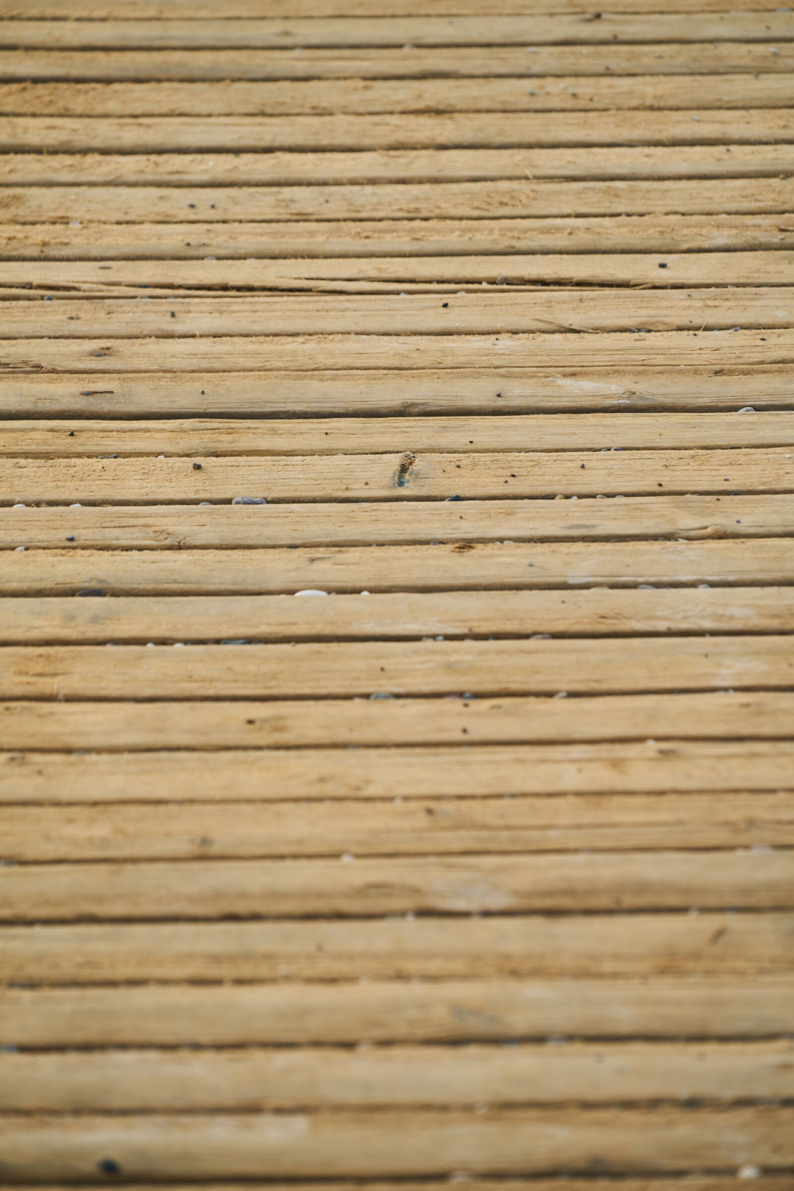 Sony a7R II + Sony FE 70-200mm F4 G OSS sample photo. Abstract, ground, wood photography