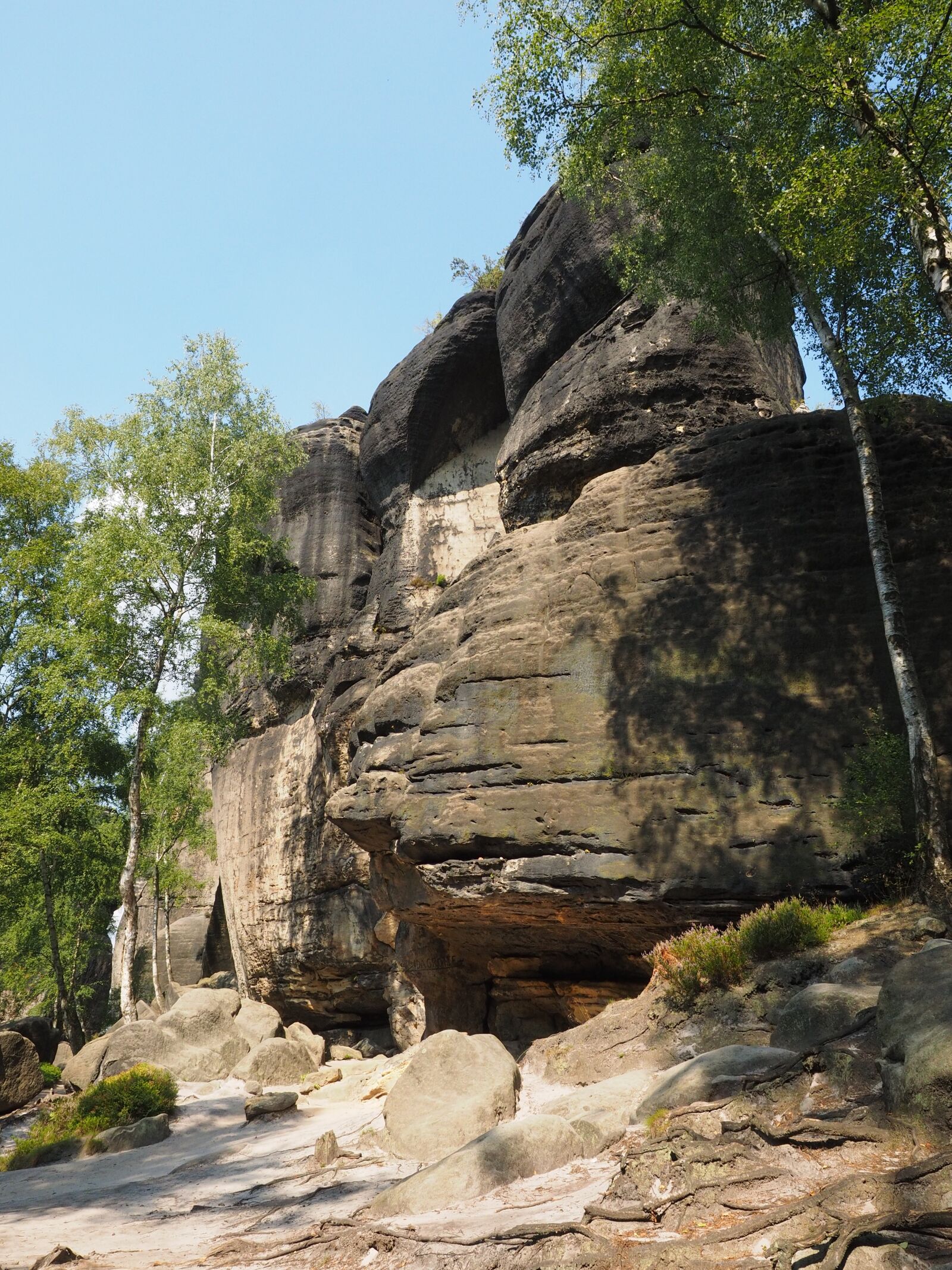 Olympus OM-D E-M1 + Olympus M.Zuiko Digital ED 12-40mm F2.8 Pro sample photo. Frienstein, elbe sandstone, hike photography