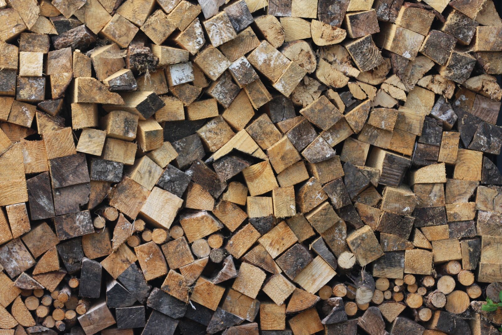 Canon EOS 40D sample photo. Wood, holzstapel, log photography