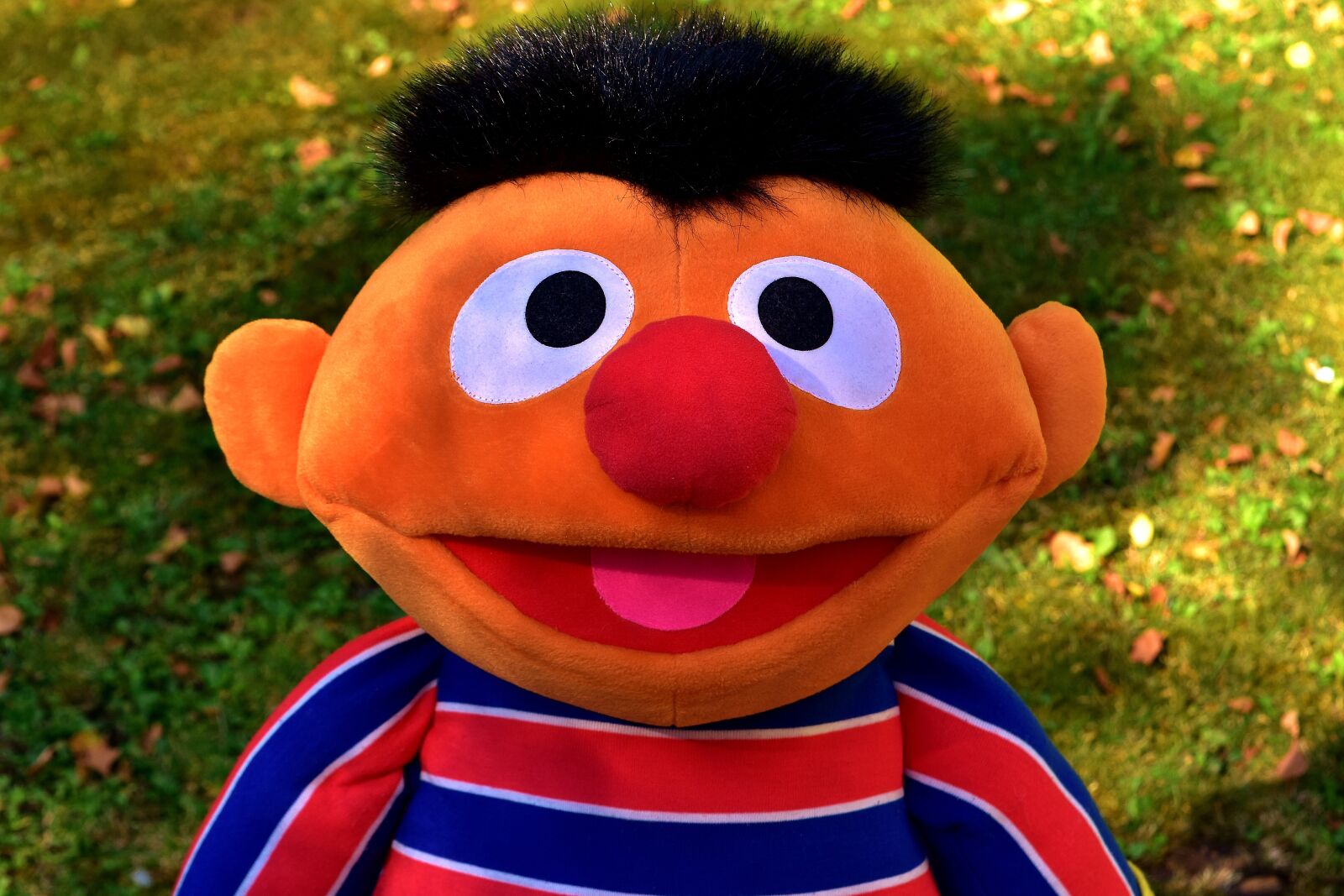 Nikon D7200 sample photo. Plush figure, children, toys photography