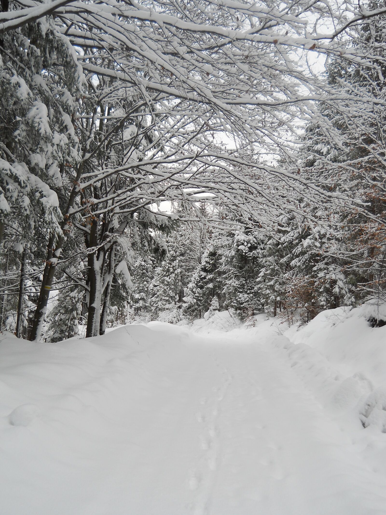 Nikon Coolpix L22 sample photo. Winter, snow, mountains photography