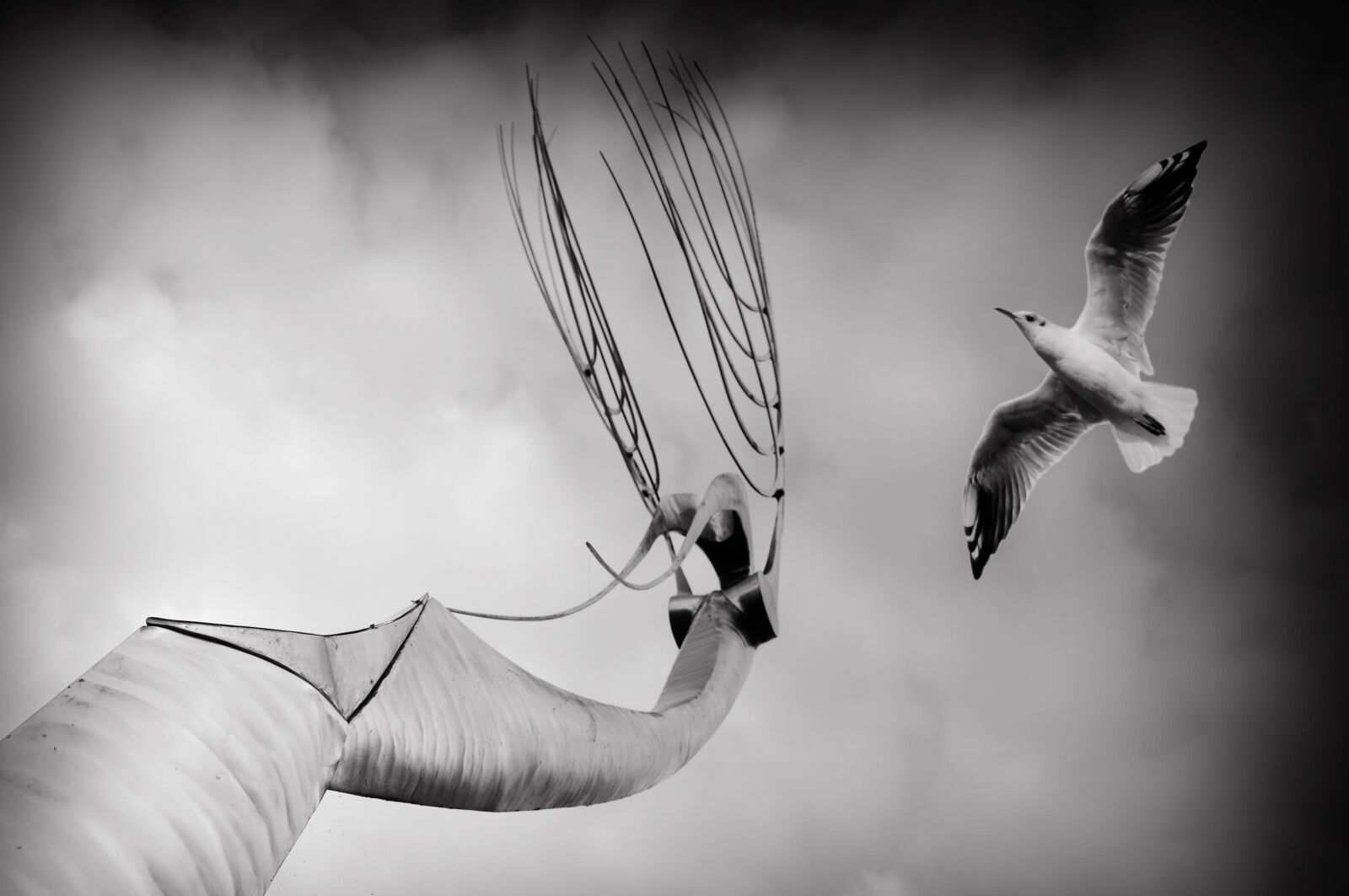 Nikon D90 sample photo. Animal, art, avian, bird photography