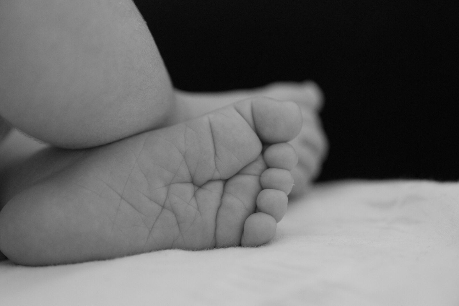 Canon EOS 80D sample photo. Baby, feet, little boy photography
